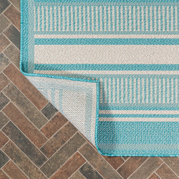 Haynes Modern Double Stripe Indoor/outdoor Area Rug